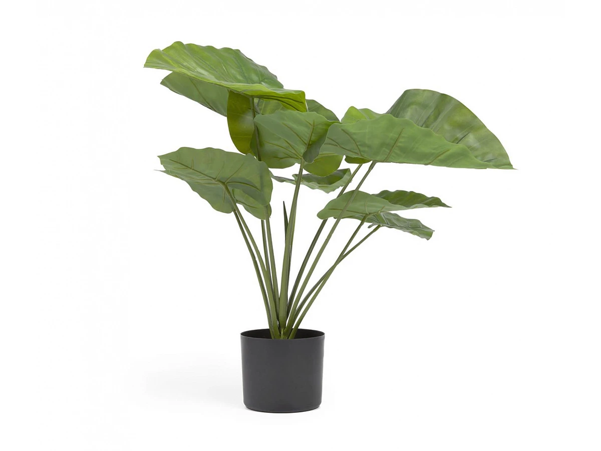 Искусственное растение Alocasia 790650