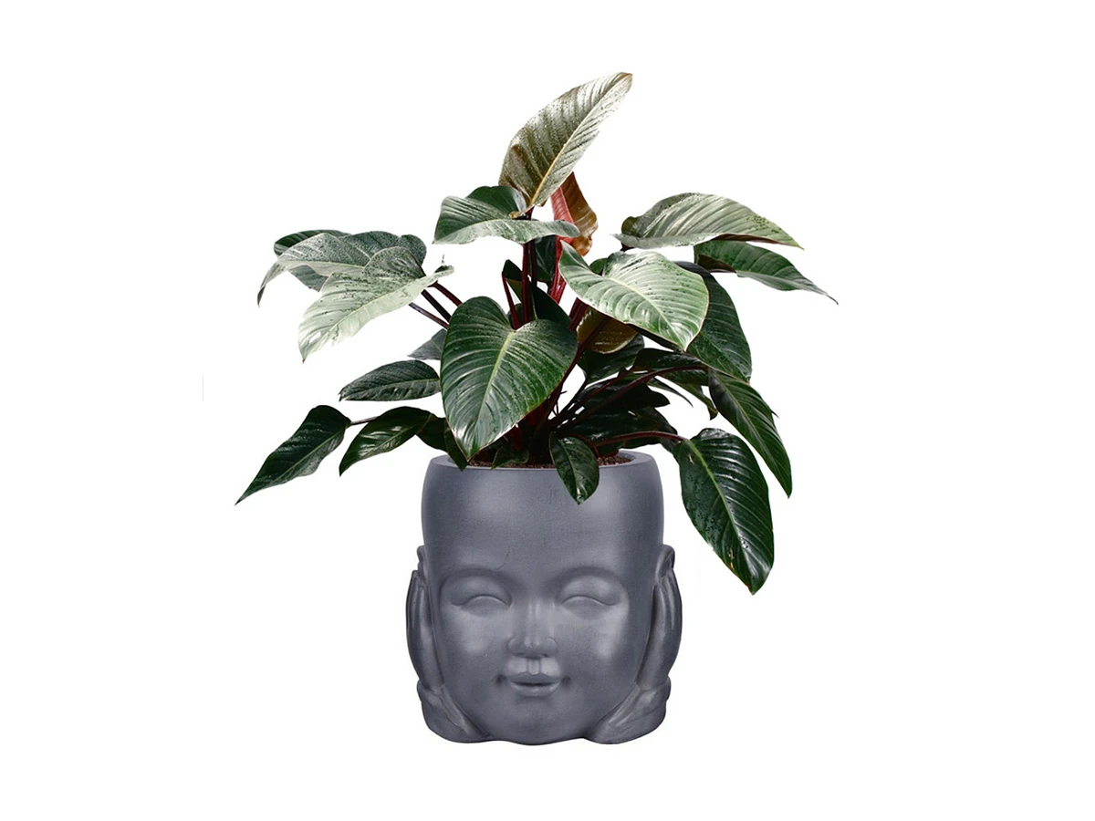Кашпо IDEALIST LITE Голова малыша-монаха 803673  - фото 2