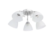 Люстра Нежность