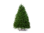 Ель УСАДЕБНАЯ 230 см