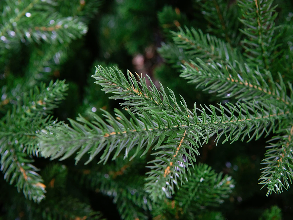 Crystal Trees Персея. Crystal Trees ель Персея 150 см.. Искусственные ели. Ель рыба.