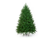 Ель САВОЙЯ 270 см