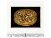 Репродукция картины на холсте Leaf of a gigantic Water lily in a gold, 1870г. 759246