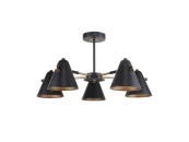 Потолочная люстра Rigor