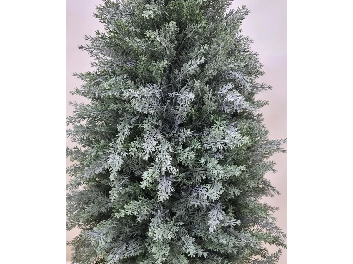 Туя Майли 841326  - фото 4