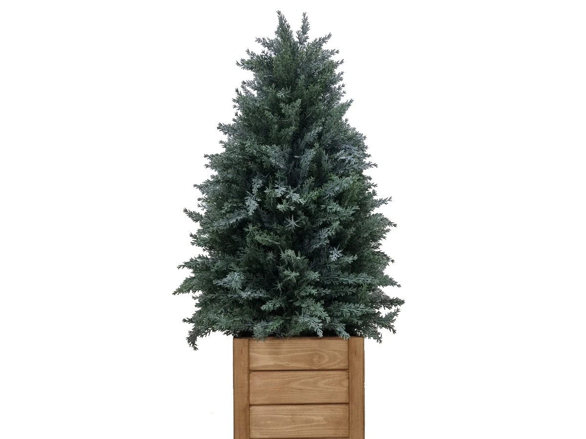 Туя Майли 841326