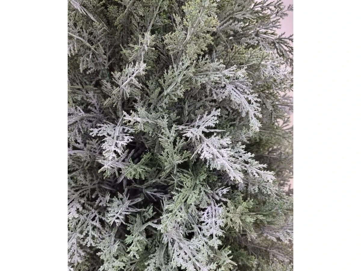 Туя Майли 841326  - фото 3