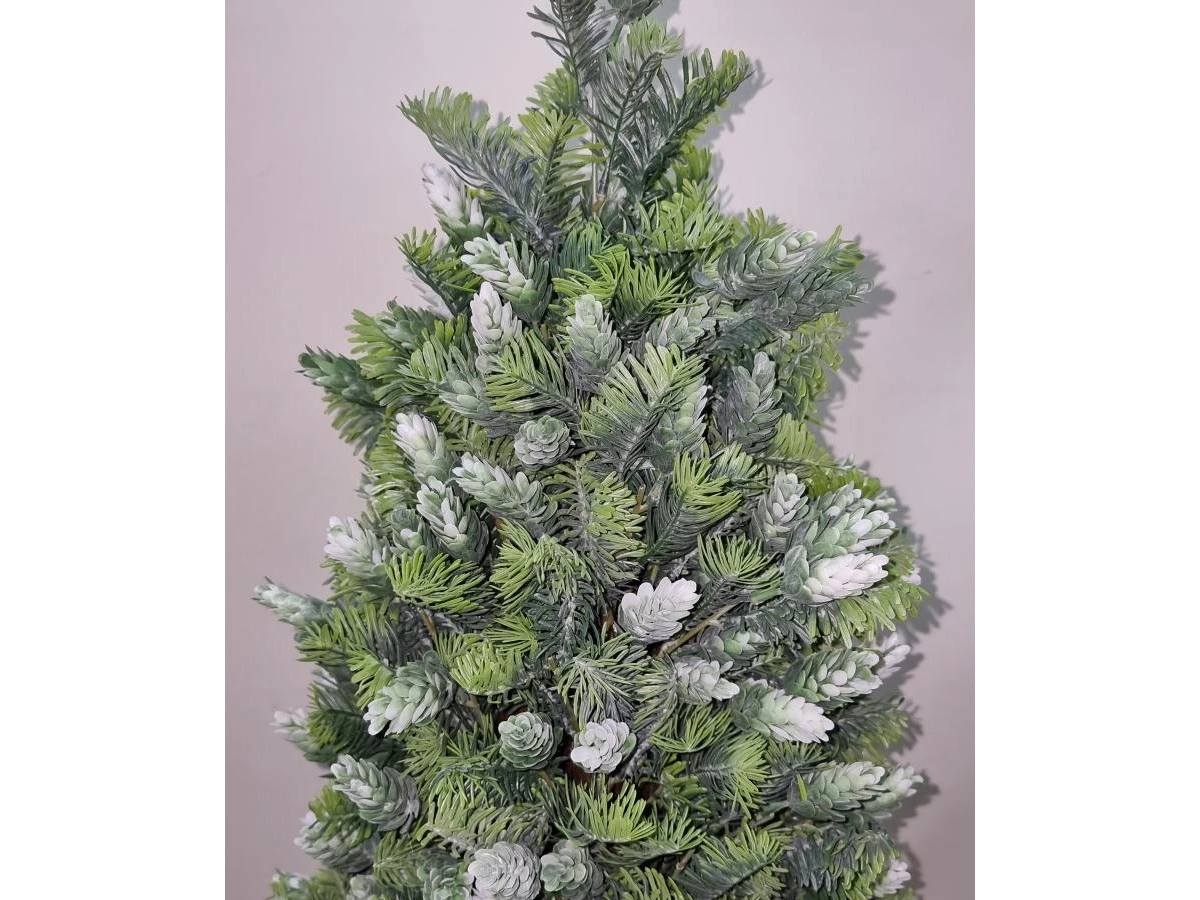 Пихта Кайли 841331  - фото 6