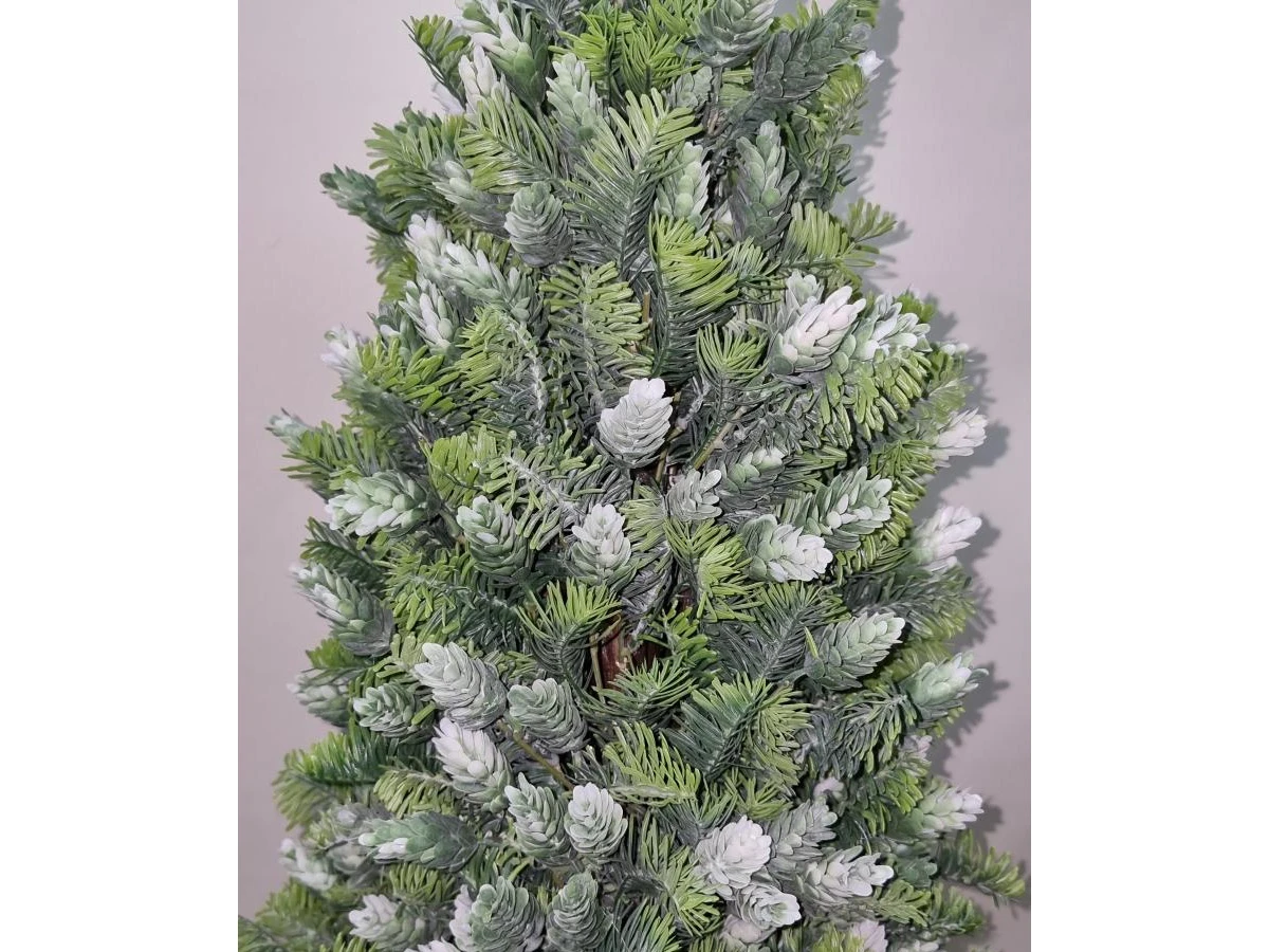 Пихта Кайли 841331  - фото 5