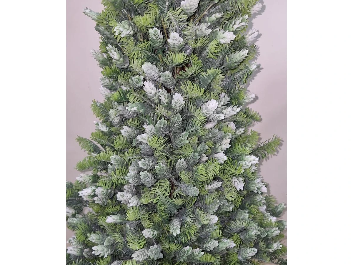 Пихта Кайли 841331  - фото 7