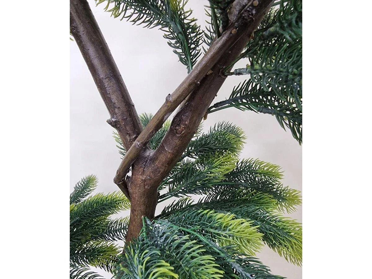 Сосна Канадская 841334  - фото 6