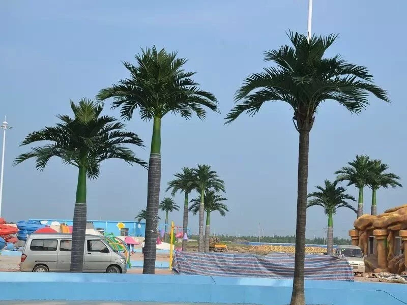 Индонезийская пальма 841422  - фото 4