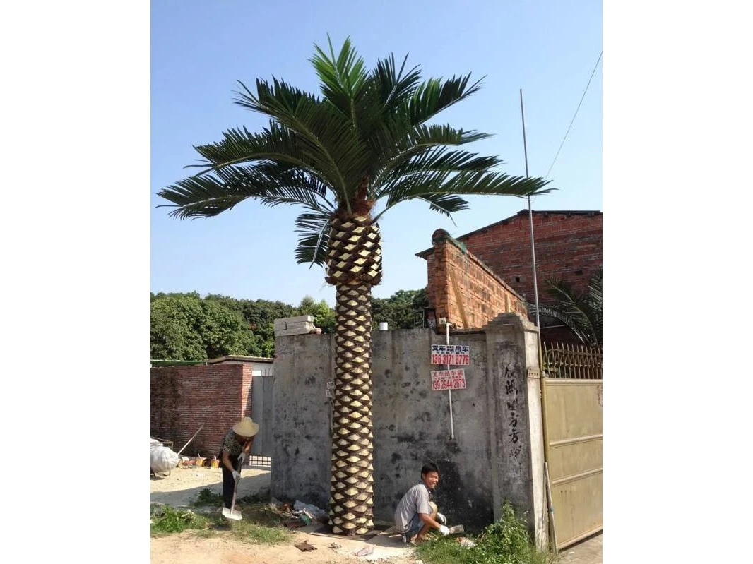 Финиковая пальма 841429  - фото 2