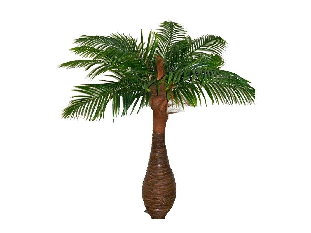 Финиковая пальма Южанна 841456  - фото 1
