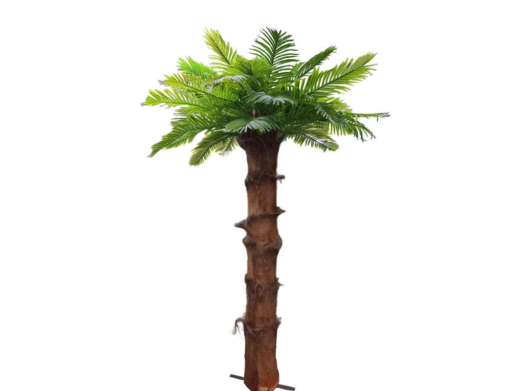 Финиковая пальма Гледис 841461  - фото 1