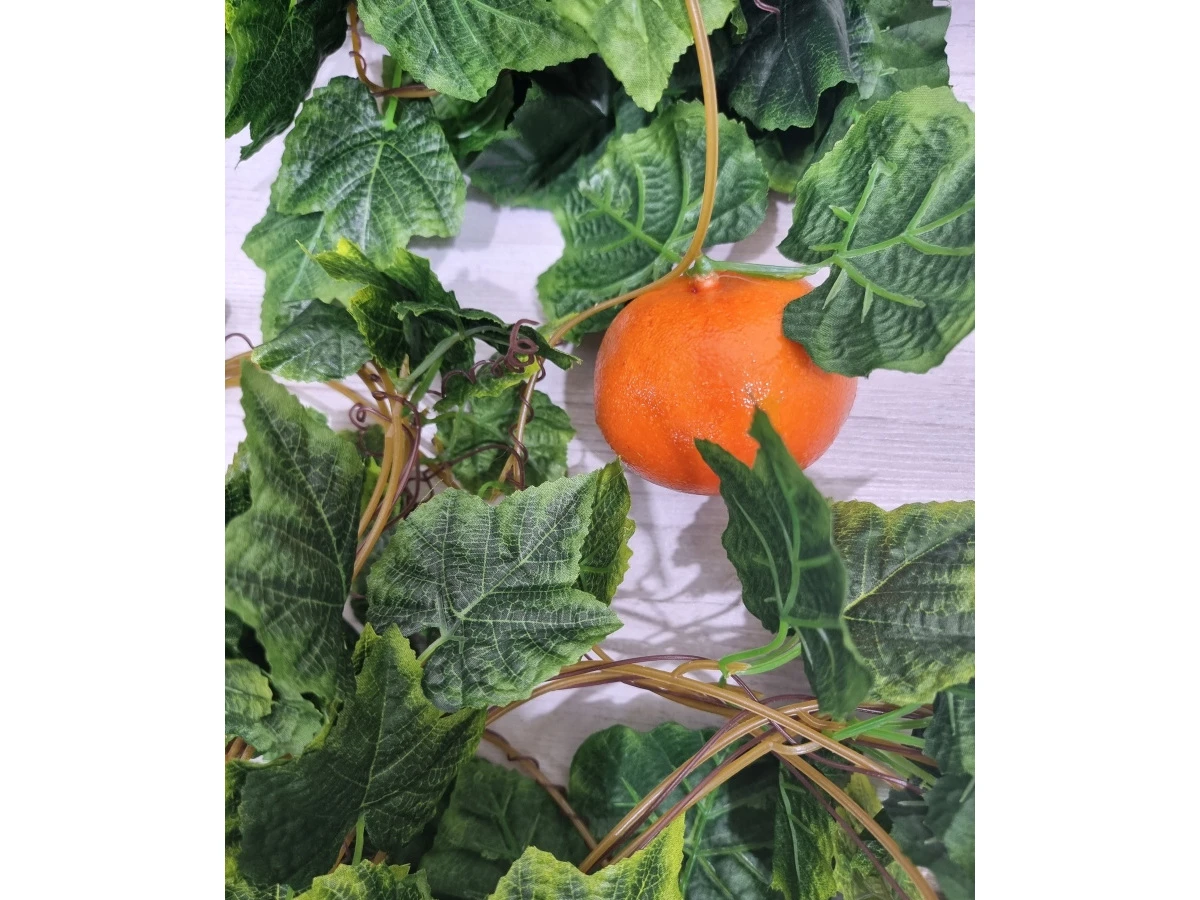 Лиана Мандарин 841512  - фото 6