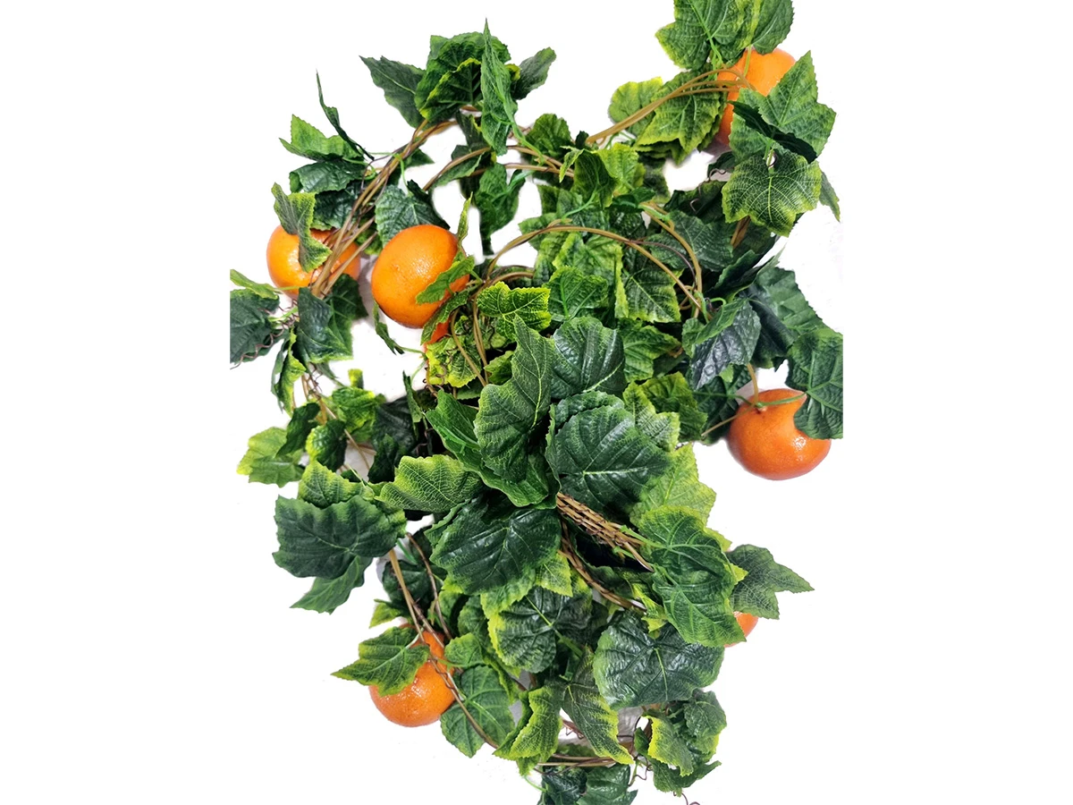 Лиана Мандарин 841512  - фото 3