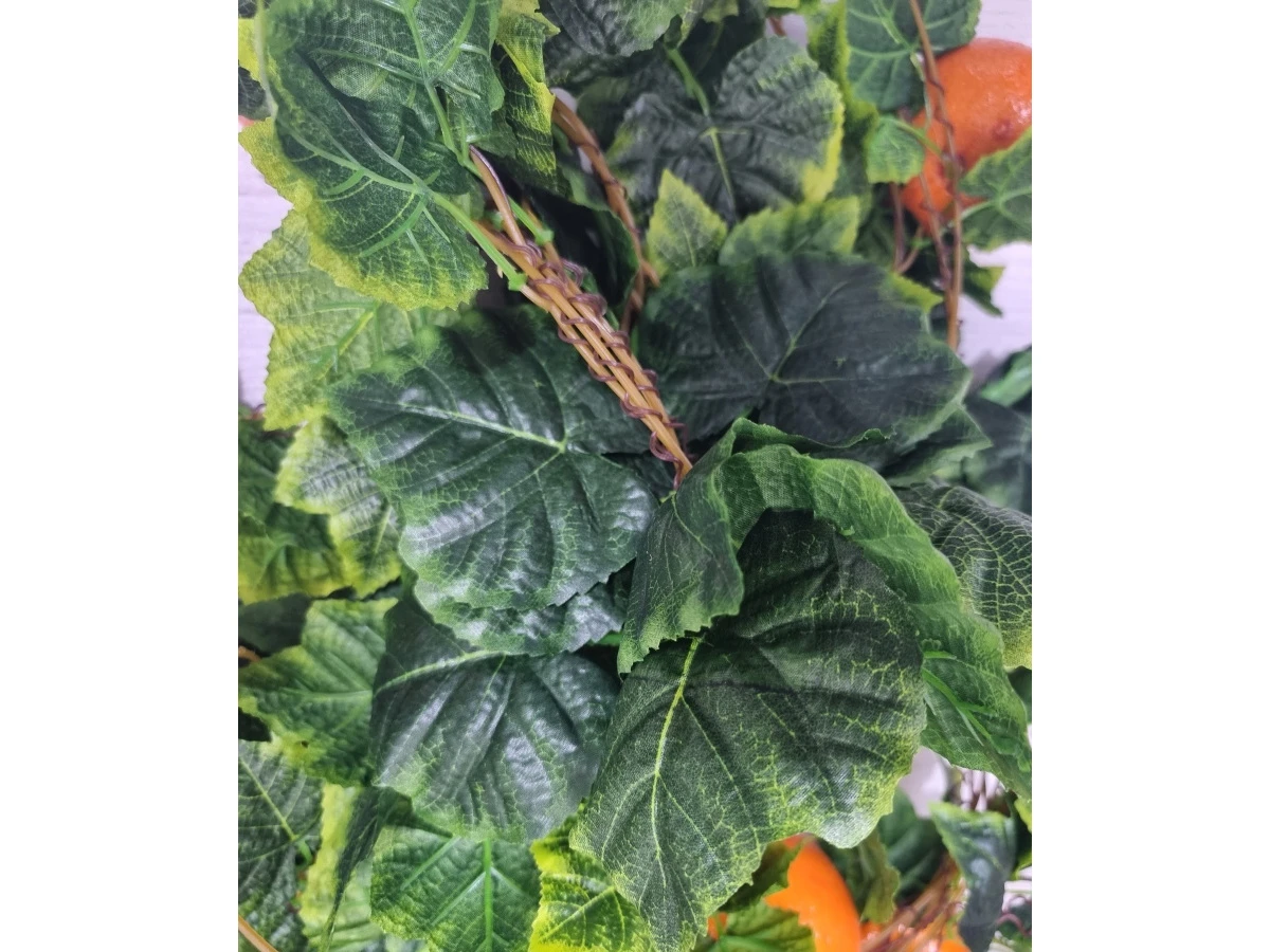 Лиана Мандарин 841512  - фото 4