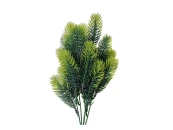 Букет Ели Терри