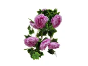 Пион ампельный