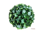 Самшит Шар Бако зеленый