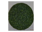 Самшит Шар Макс 70см