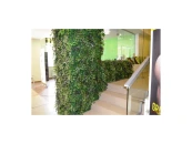 Фито колонна ломанная 9кв.м