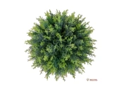 Шар Туи Порше