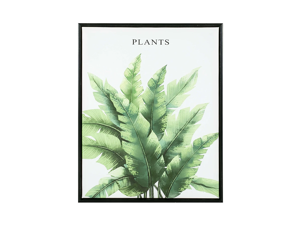 Картина Plant 40х50см 846910