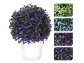 Растение искусственное Самшит