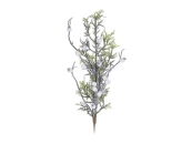 Ветка White Berries