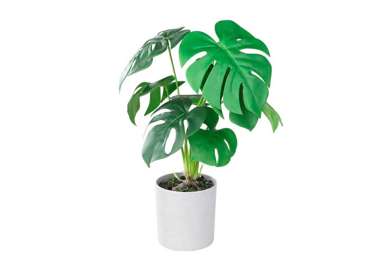 Искусственное растение TOBETSU 855320