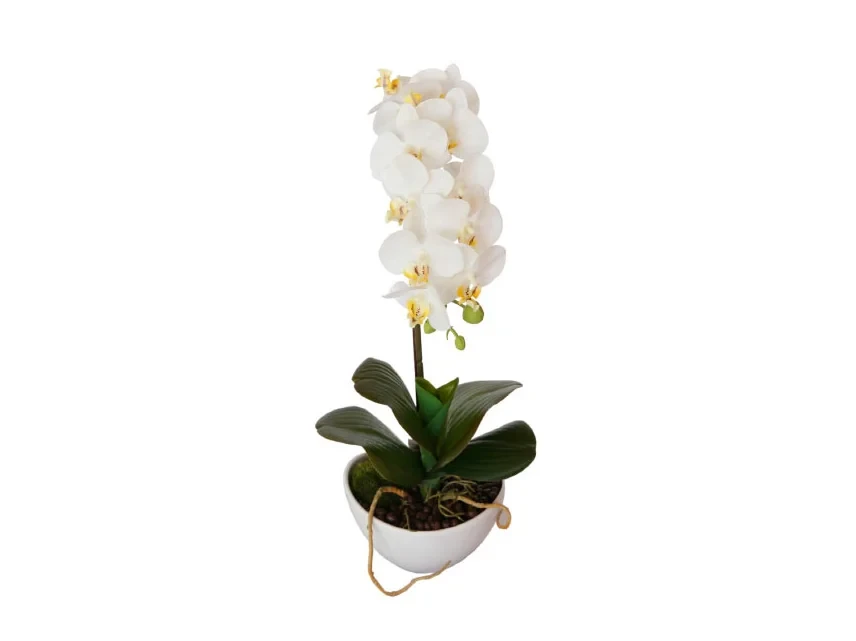Орхидея белая в горшке 633163