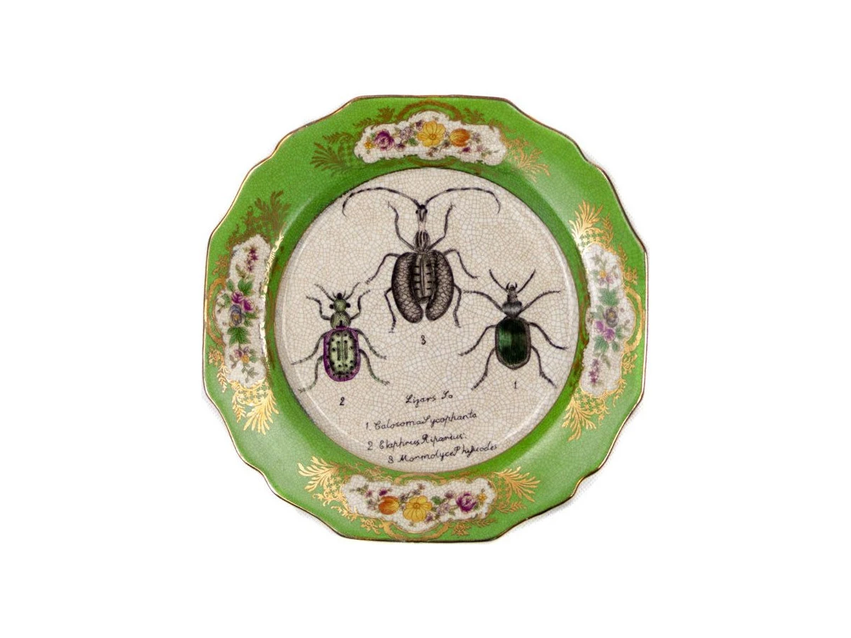 Тарелка настенная Жуки 875892  - фото 1