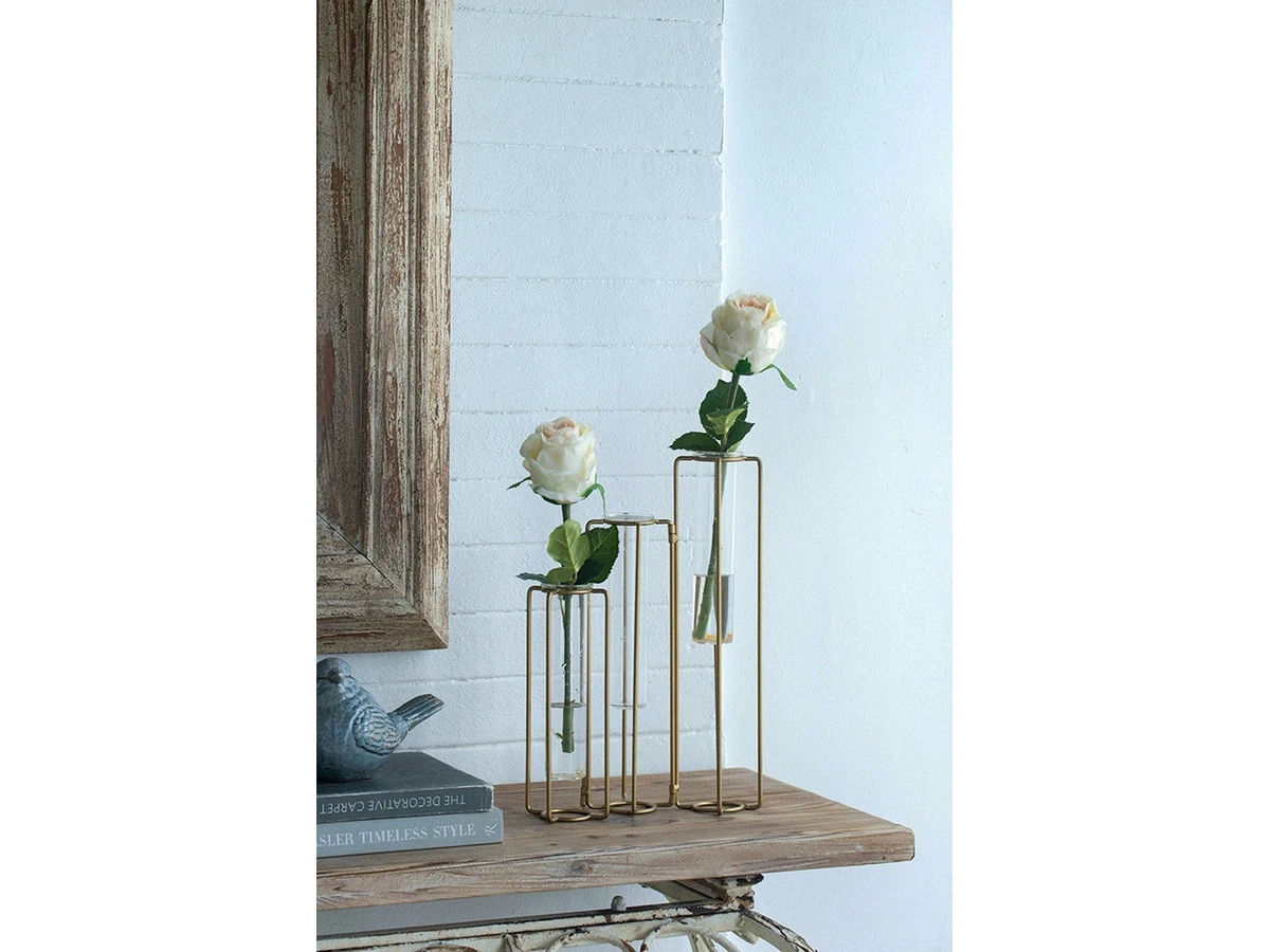 Растение Роза 876699  - фото 5