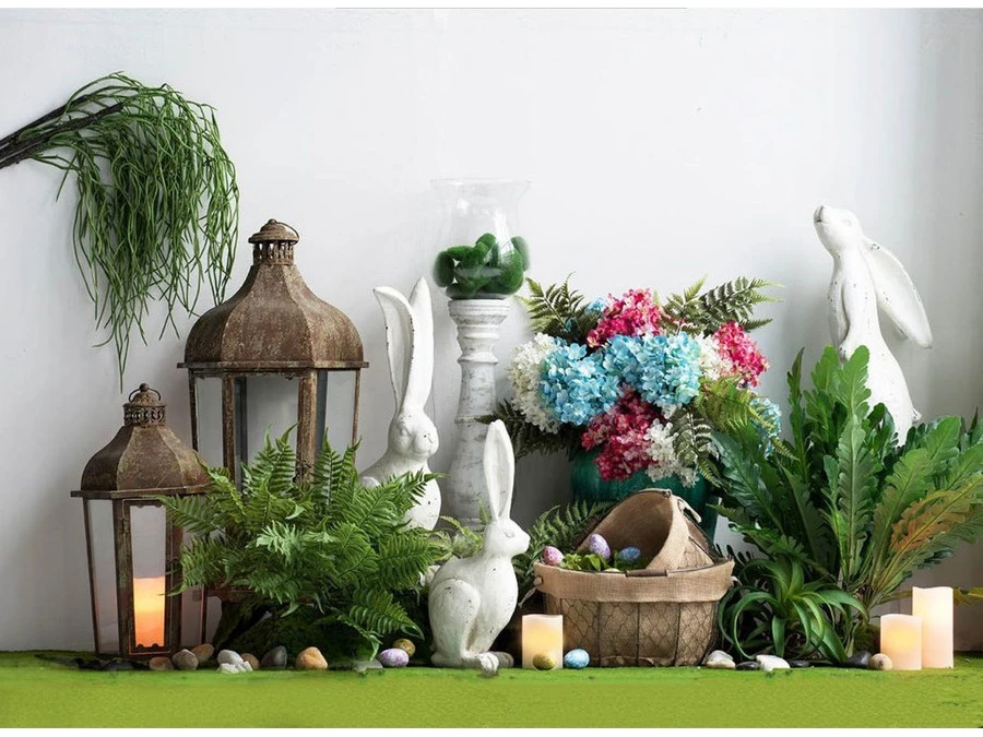 Растение Папоротник 876781  - фото 8