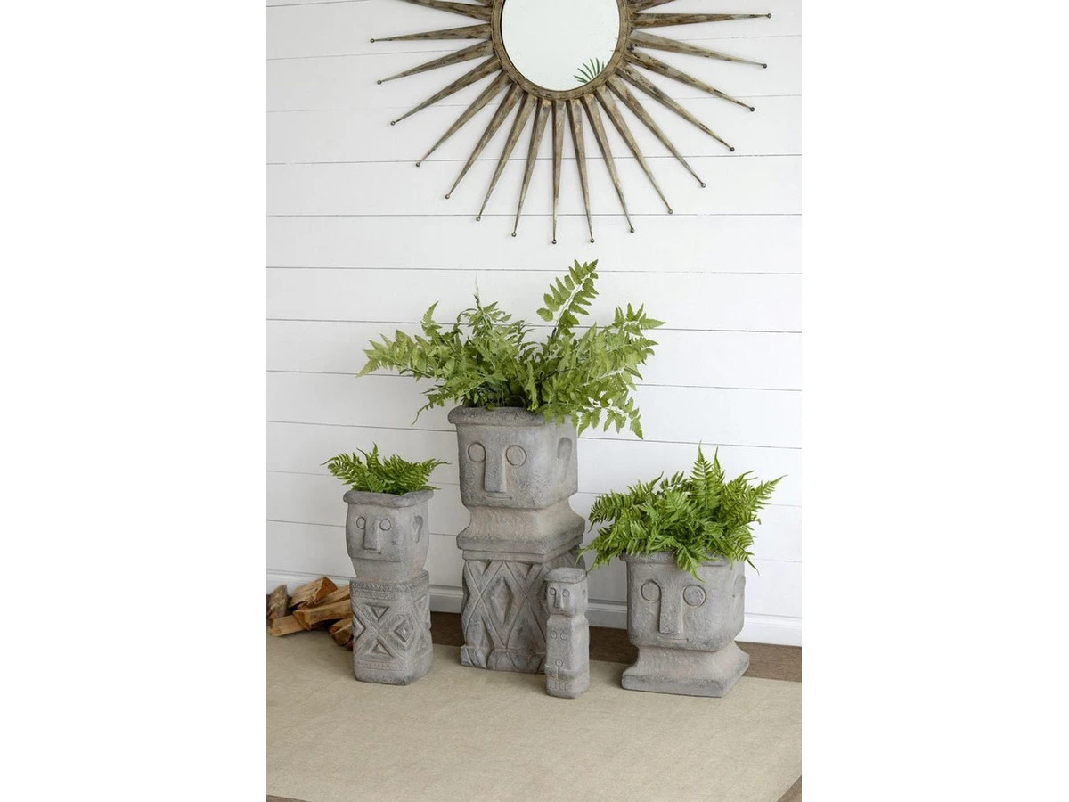 Растение Папоротник 876781  - фото 7