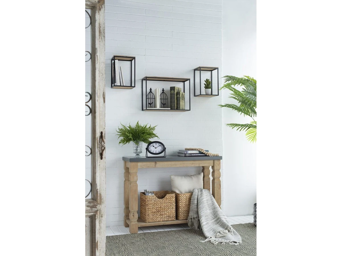 Растение Папоротник 876781  - фото 4