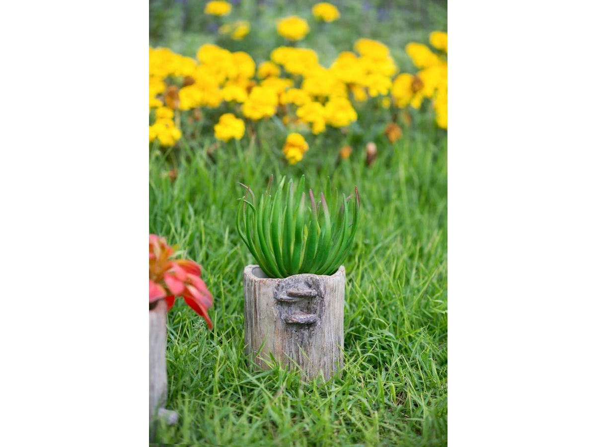 Кашпо 876987  - фото 6