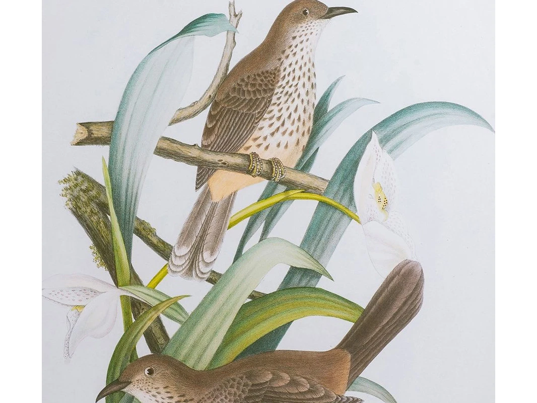 Набор панно Птицы и цветы 877033  - фото 5