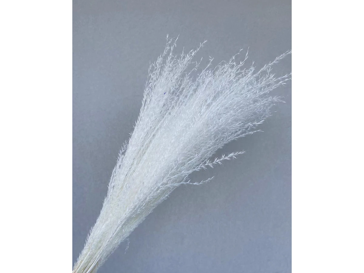 Сухоцвет Пампасная трава белый 75 см 880900  - фото 1