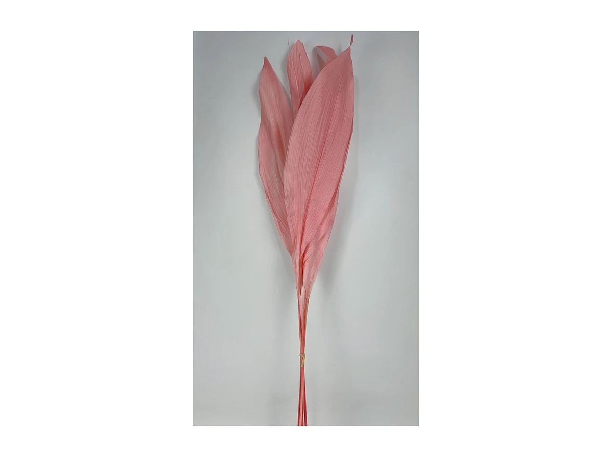 Сухоцвет Листья магнолии 75 см розовый 880902  - фото 1