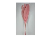 Сухоцвет Листья магнолии 75 см розовый 880902
