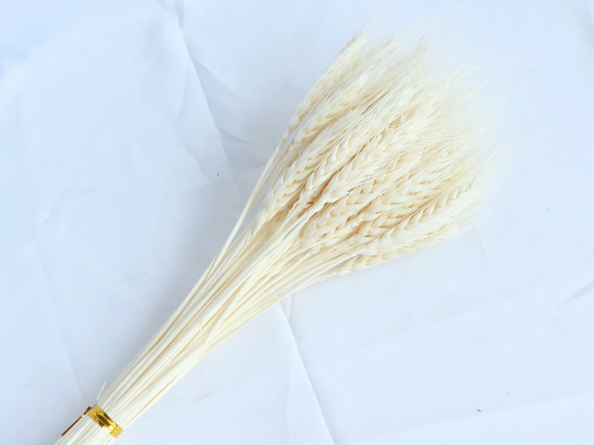 Сухоцвет Пшеница белый 40 см 880905