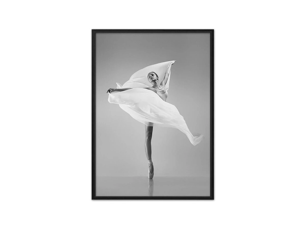 Постер Балерина с вуалью 882118