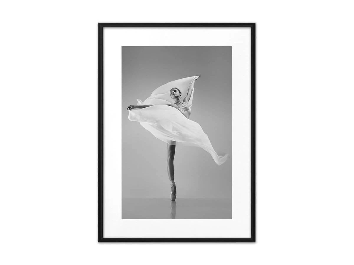 Постер Балерина с вуалью 882118  - фото 1