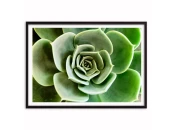 Панно
плакат