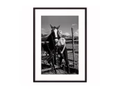 Постер Мерилин Монро с лошадью