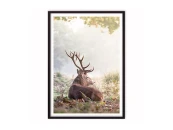 Постер Олень в лесу