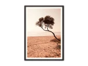 Постер Дерево на пляже